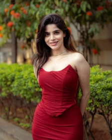 Delhi Call Girls Service